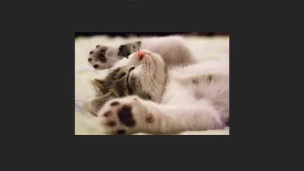 Image Grid Animation